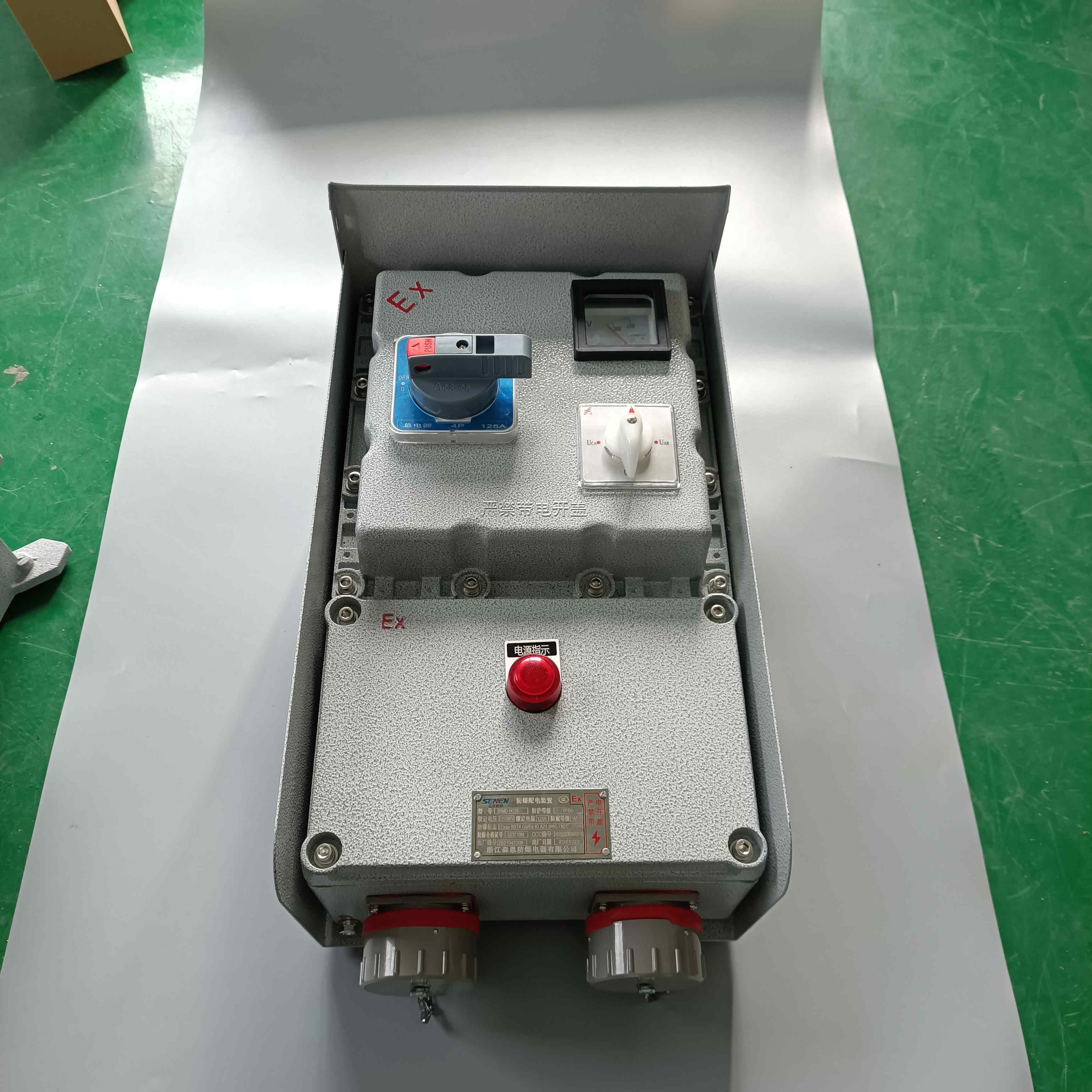 化工廠專(zhuān)用防爆動(dòng)力檢修箱